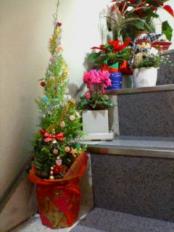 20081222184704